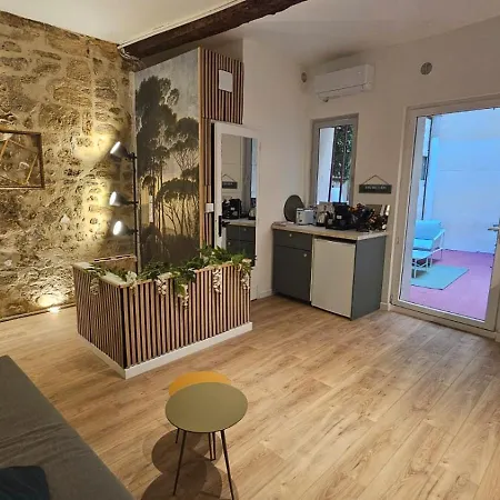 Charmant T2 Centre Ecusson Appartamento